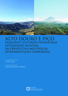 Alto Douro e Pico, paisagens culturais vinhateiras património mundial em perspectiva multifocal